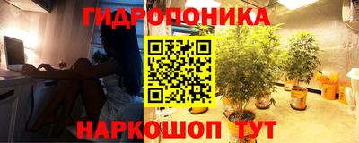 гашик Балаково